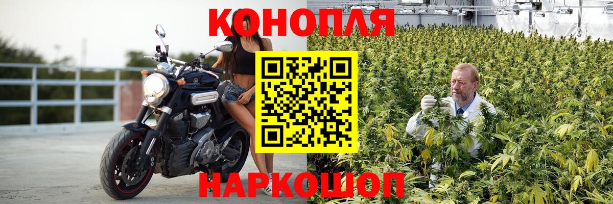 Бошки марихуана гибрид Протвино
